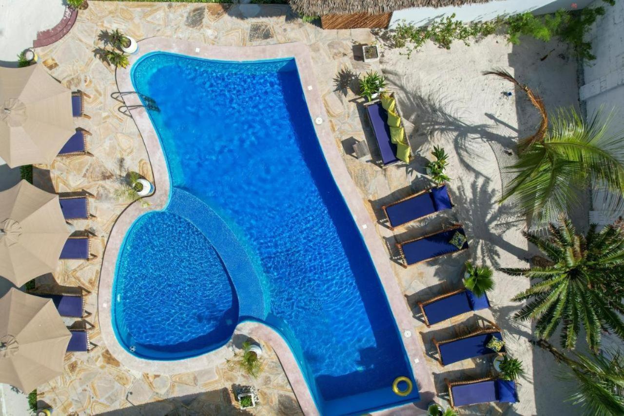 Amber Lodge Pongwe Ngoại thất bức ảnh
