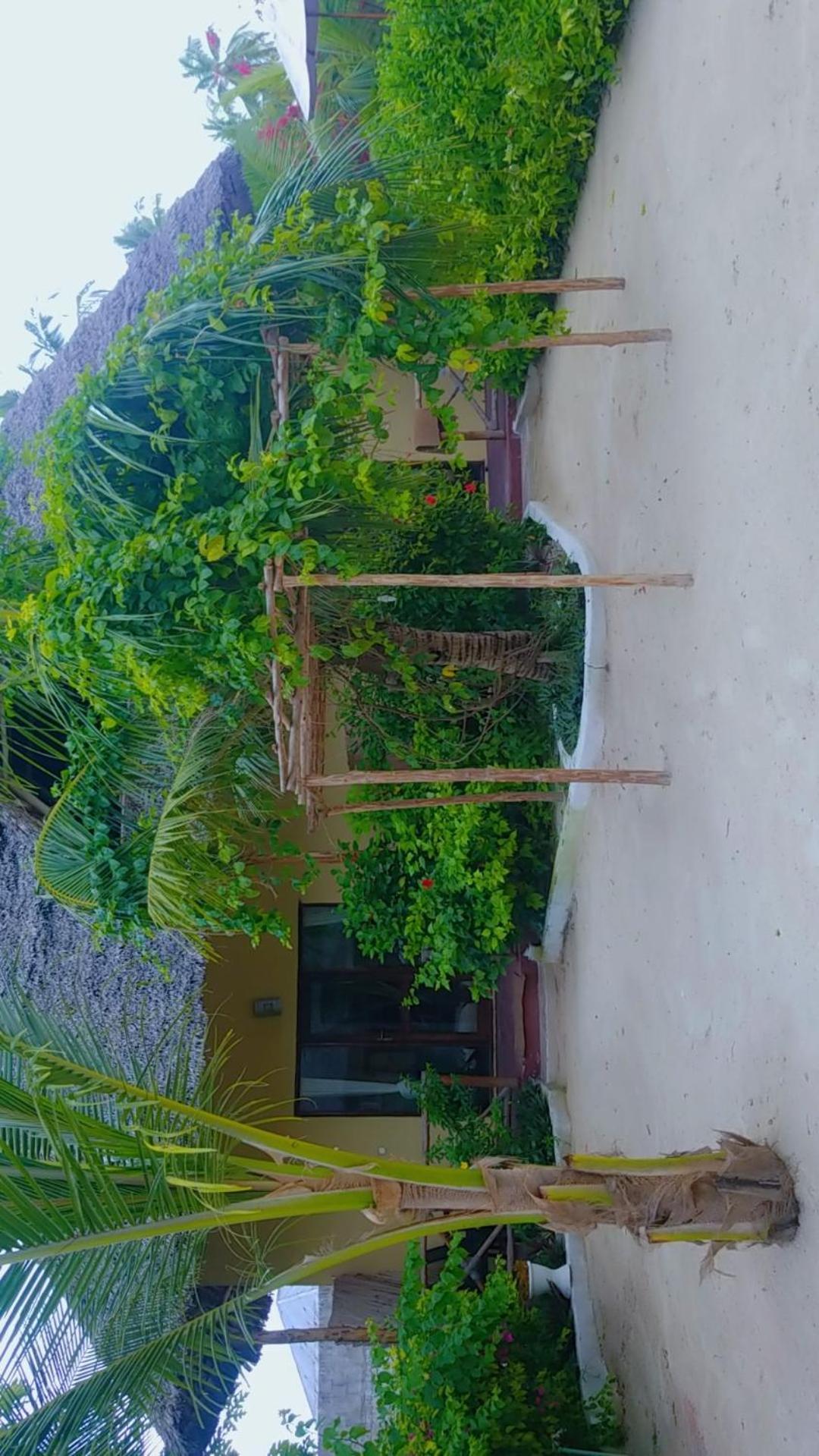 Amber Lodge Pongwe Ngoại thất bức ảnh