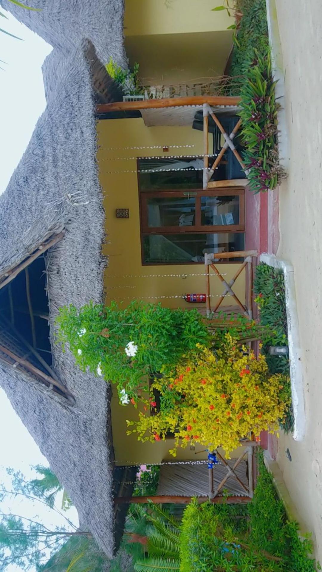 Amber Lodge Pongwe Ngoại thất bức ảnh